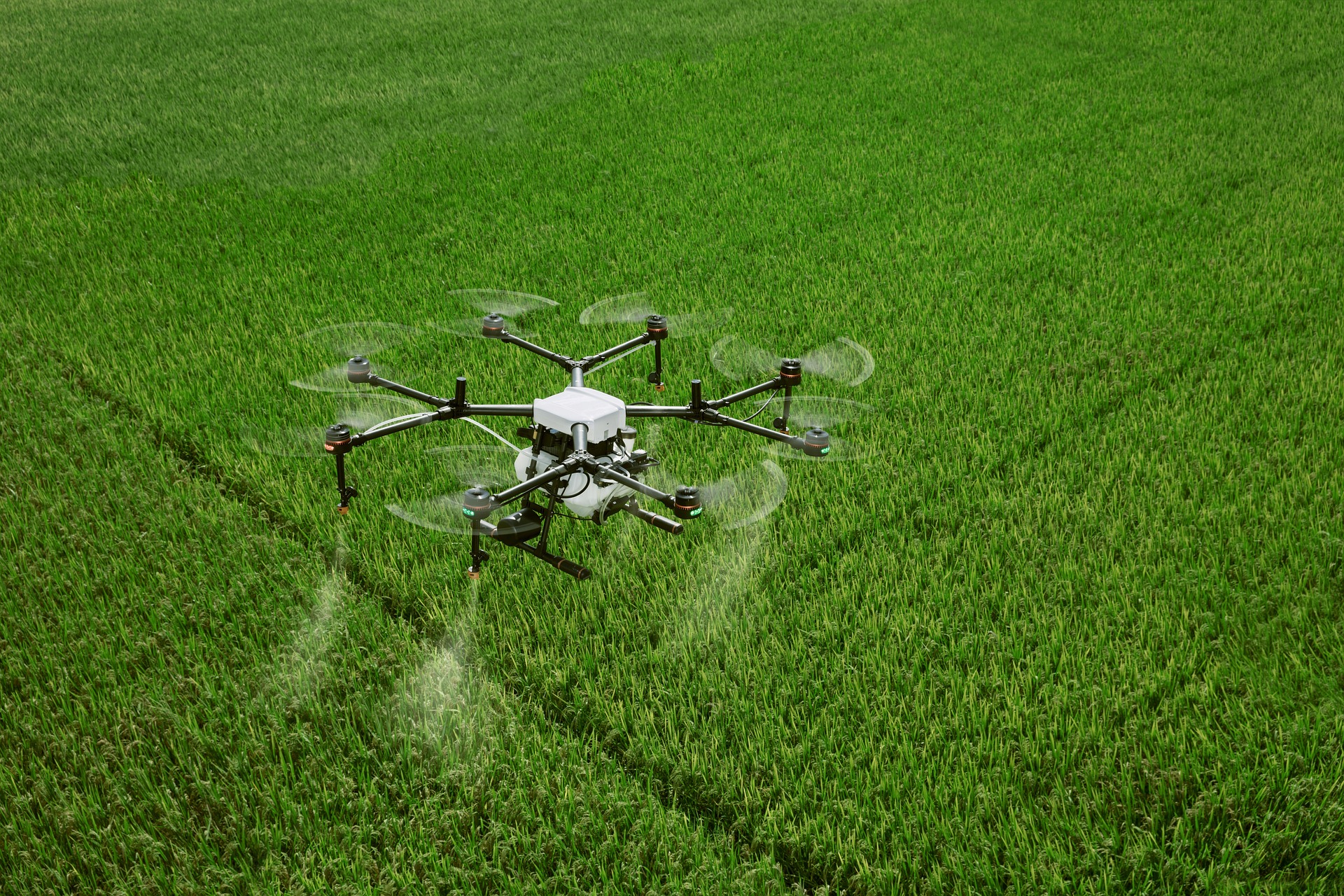 The Role of Drones in Modern Agriculture